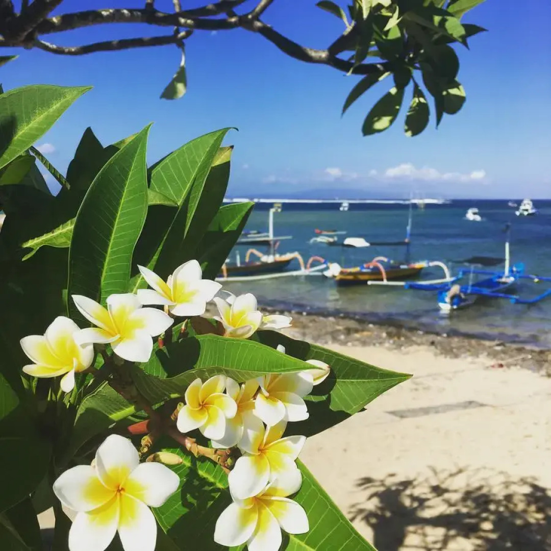 Отель La Taverna Suites