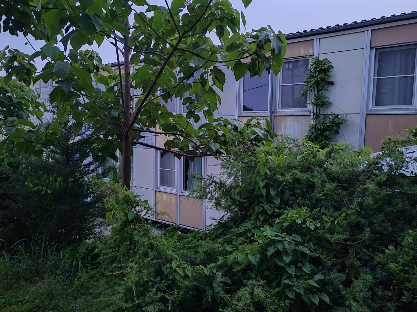 Гостевой дом Сола