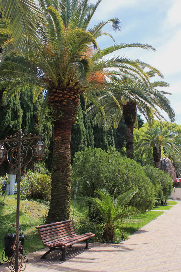 Отель Дом отдыха им. Челюскинцев