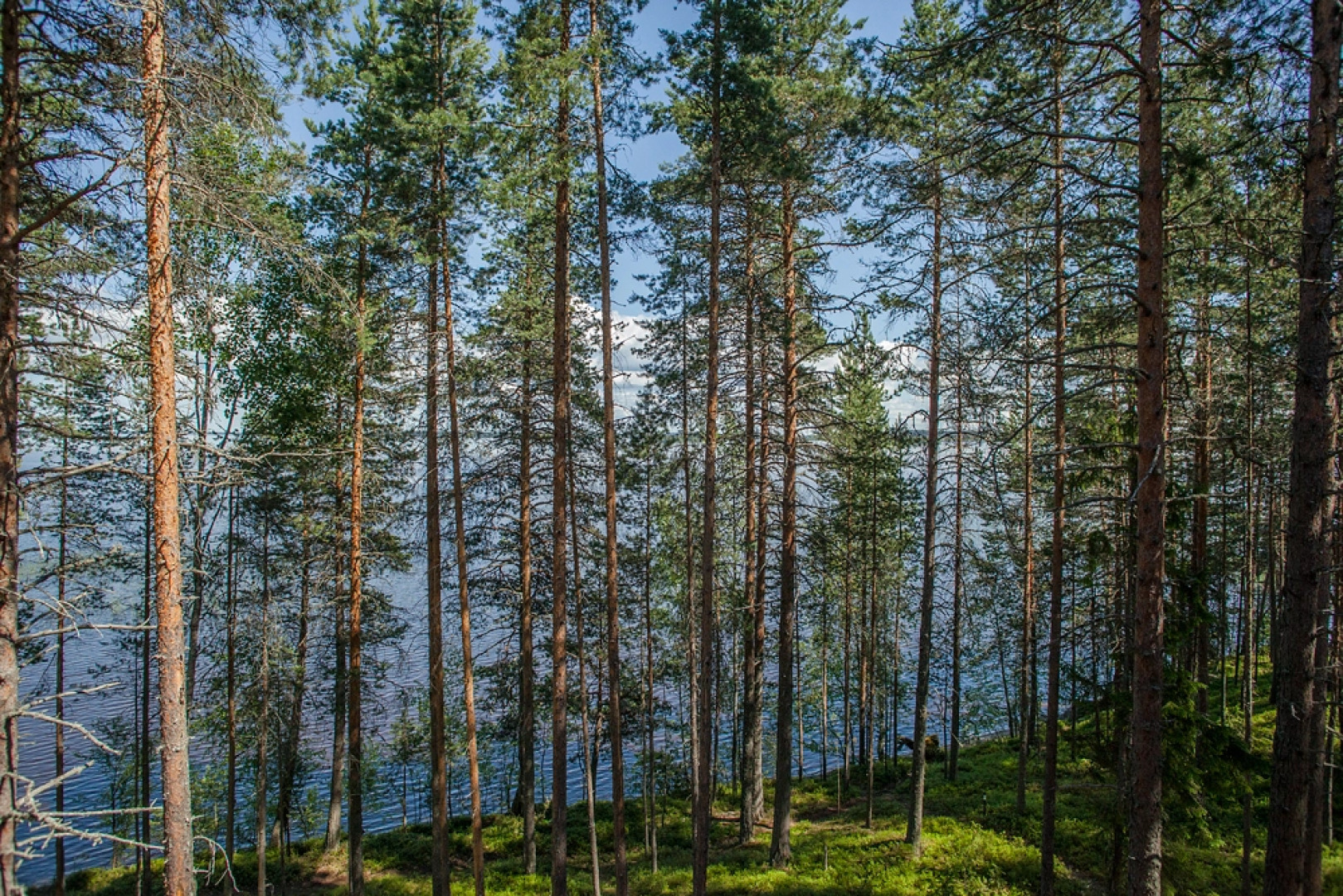 Гостевой комплекс Сямозерье