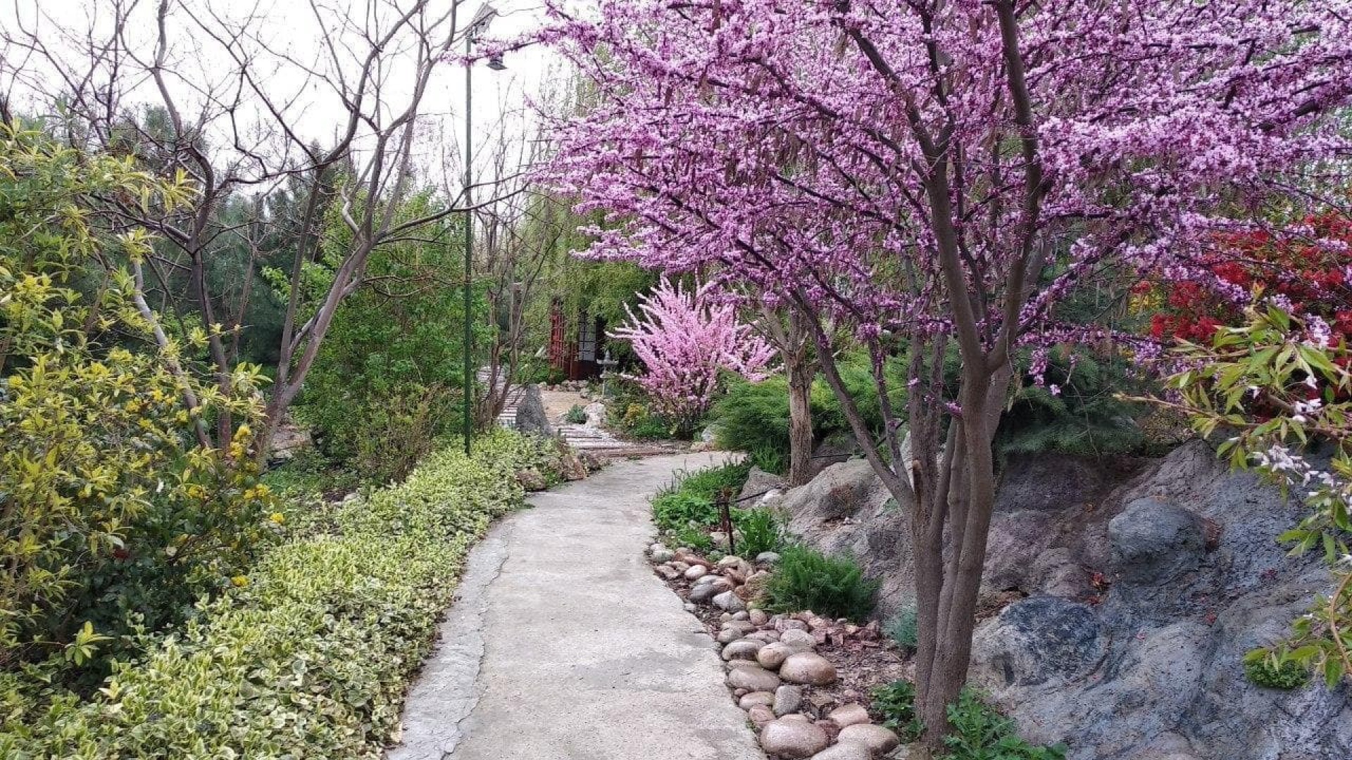 Мини-отель Uzumfermer