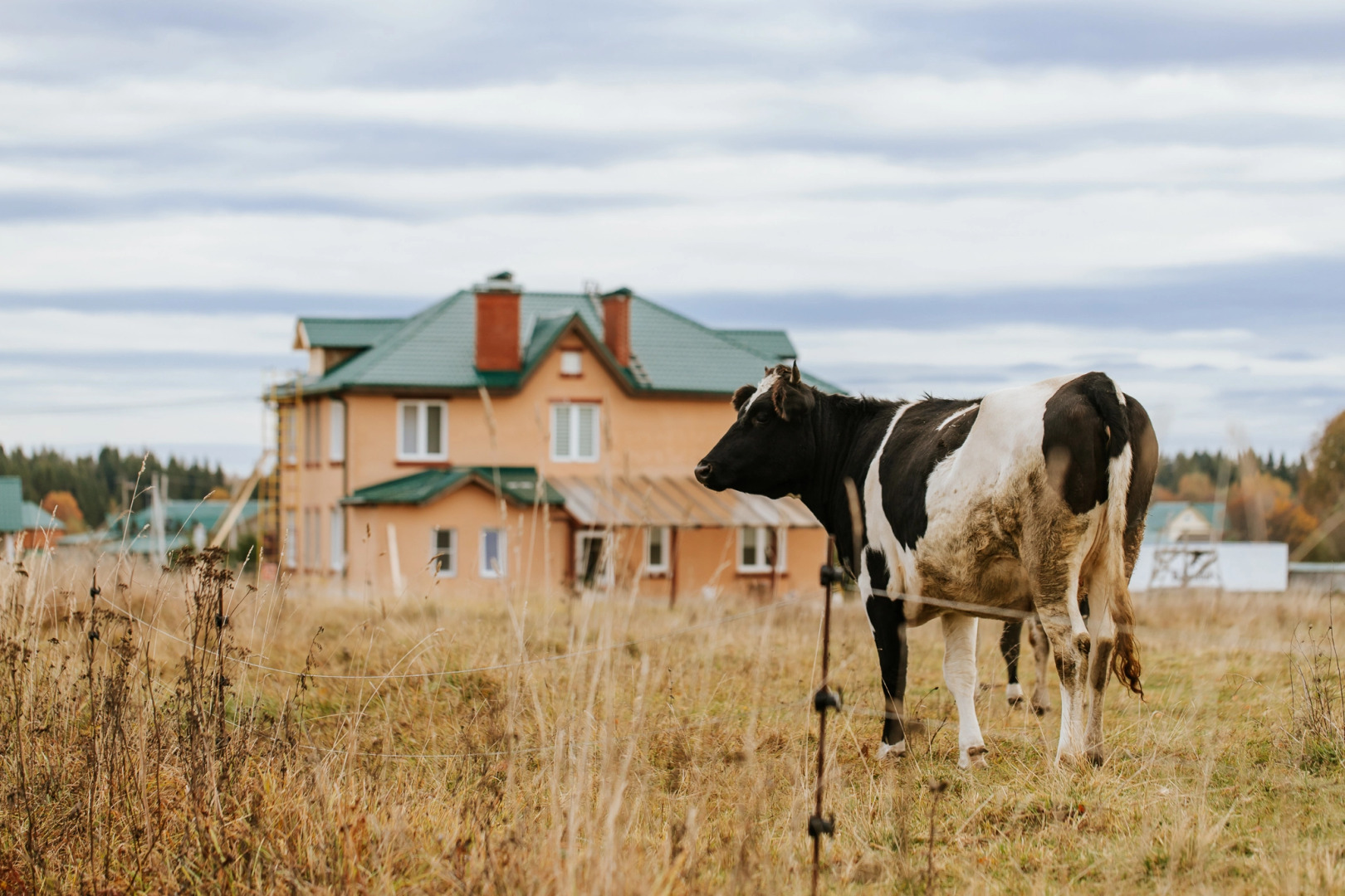 База отдыха Агротуристический комплекс Эль Ранчо