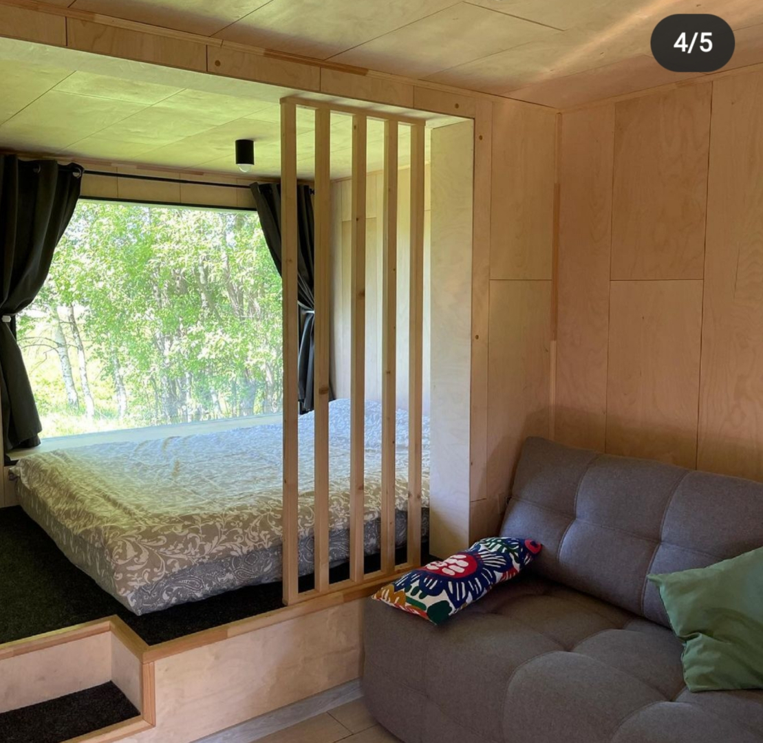 Папоротник