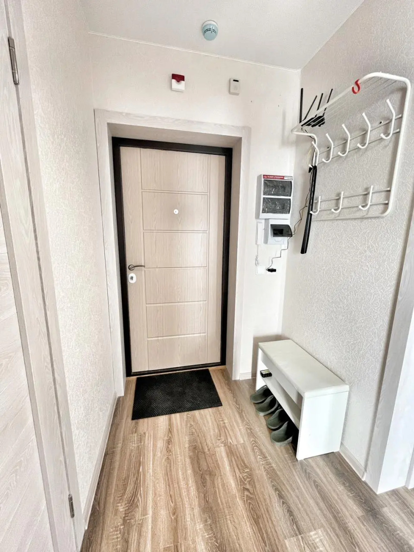 Квартира Елена Озерки