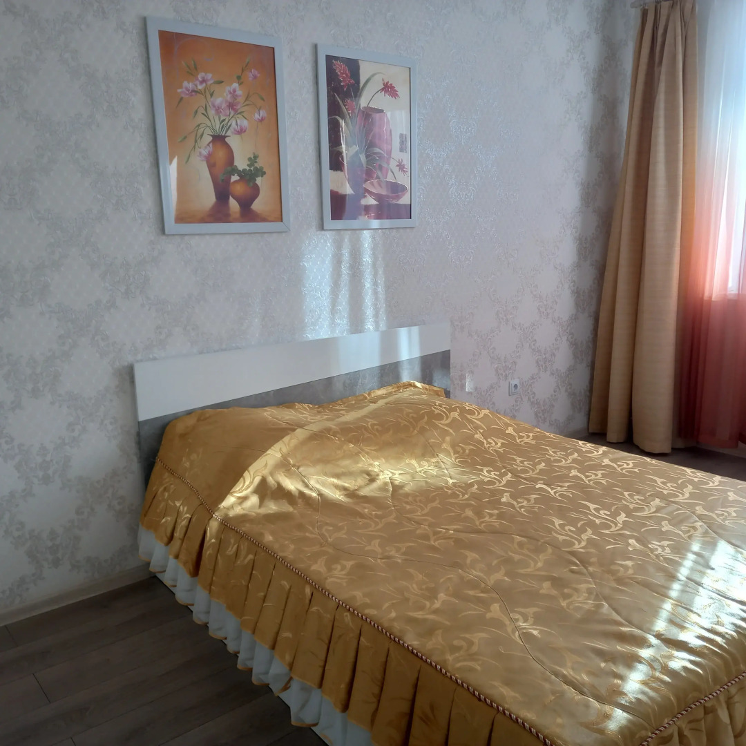 Квартира однокомнатная на Елизаветинской