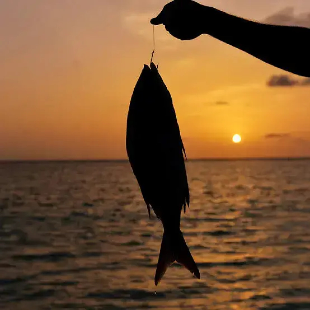 Гостевой Дом Bon Abri Maldives