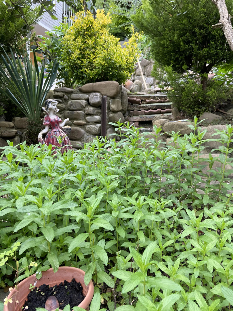 Гостевой Дом Ника