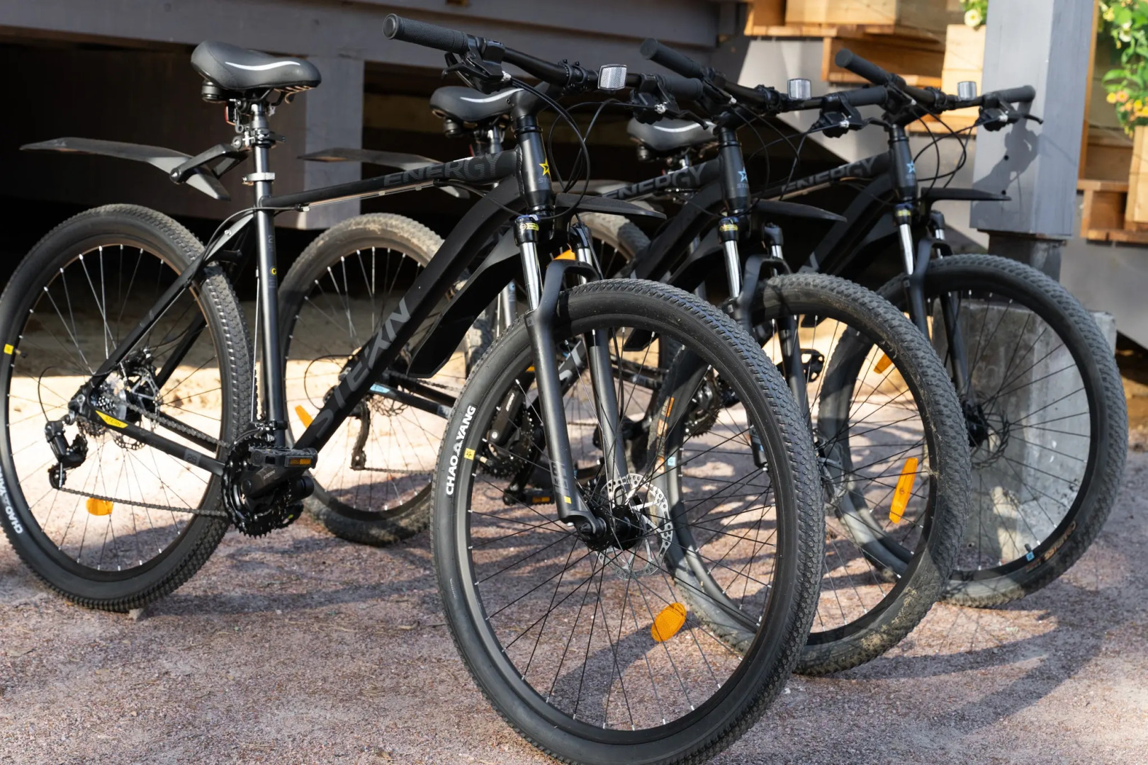 Отель Курорт Большое Борково