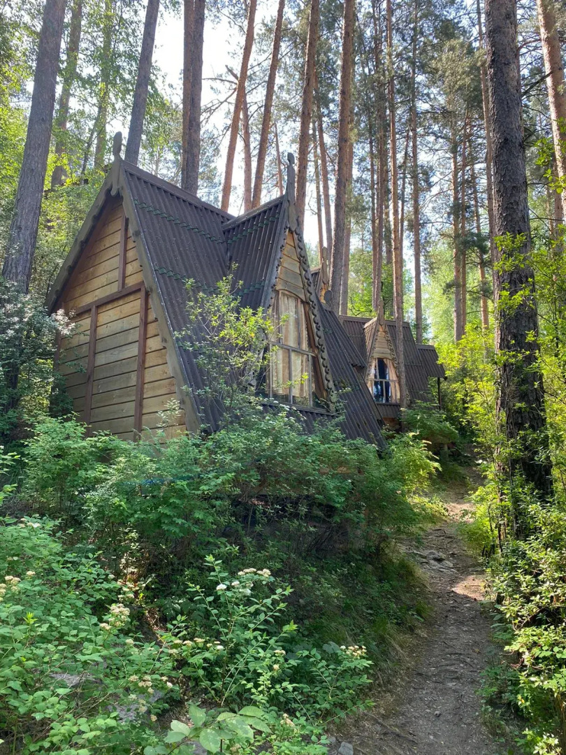 Отель Altai Star