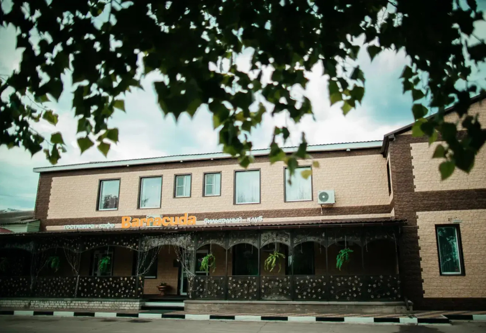 Отель Барракуда