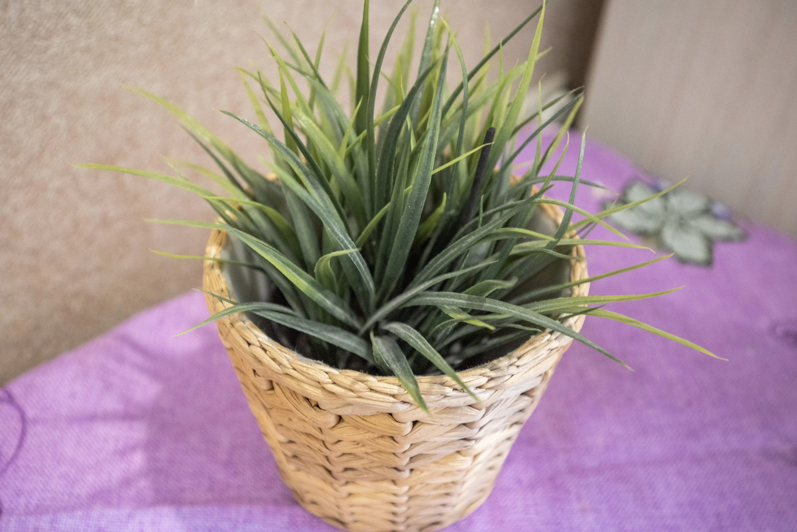 Апартаменты Место под солнцем 6