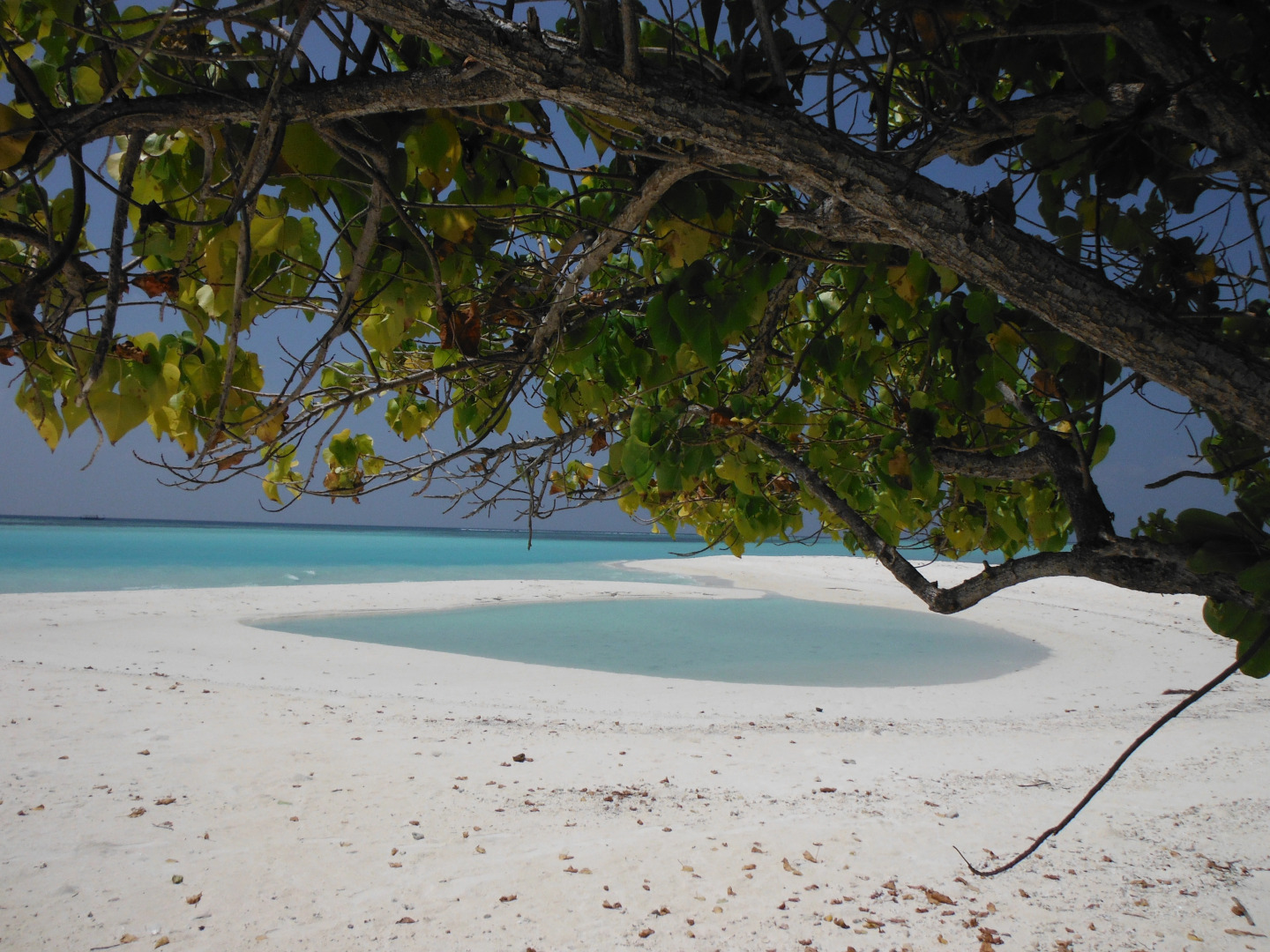 Гостевой дом Mathiveri Inn