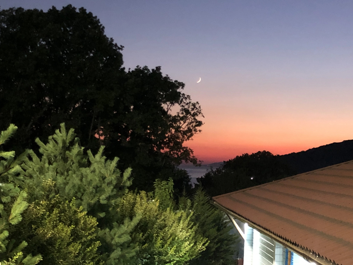 Отель Гостеев