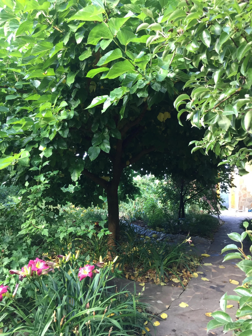 Гостевой дом Дом в саду