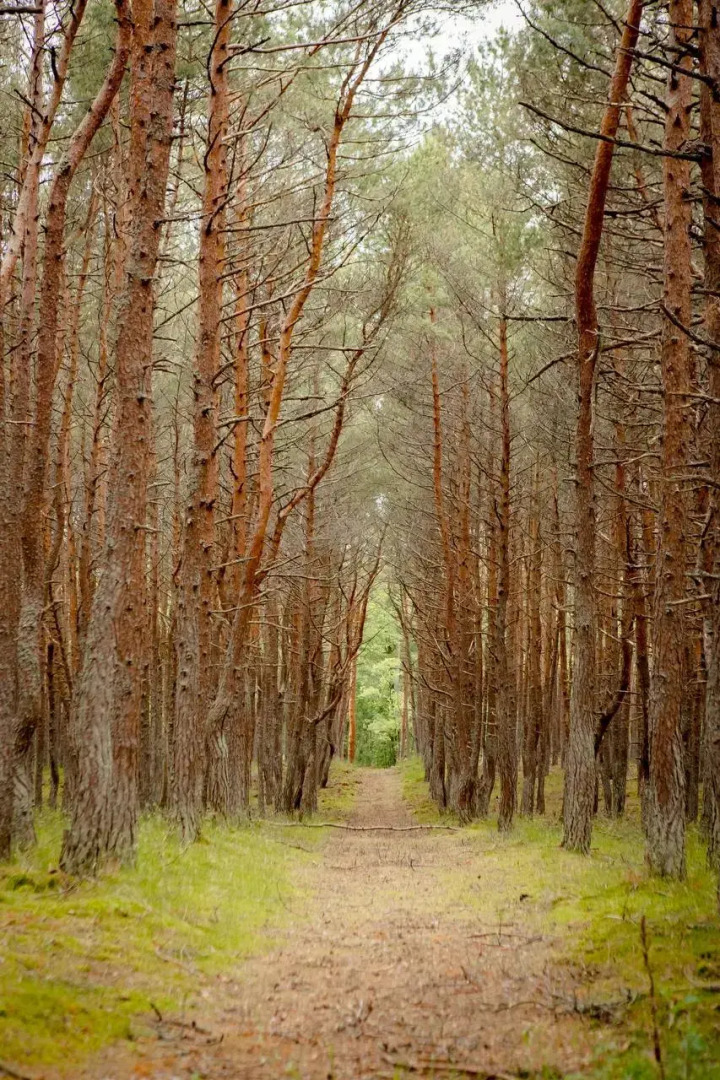 База отдыха Хан Шатыр