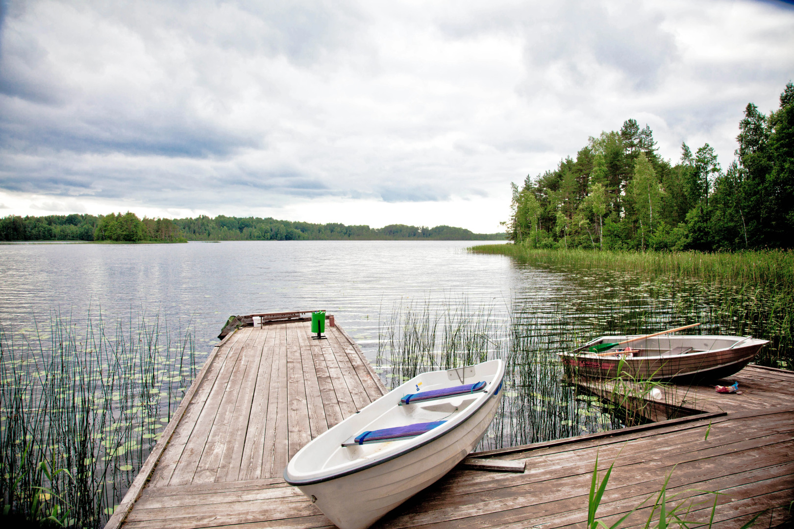 База Отдыха Лесные Дали