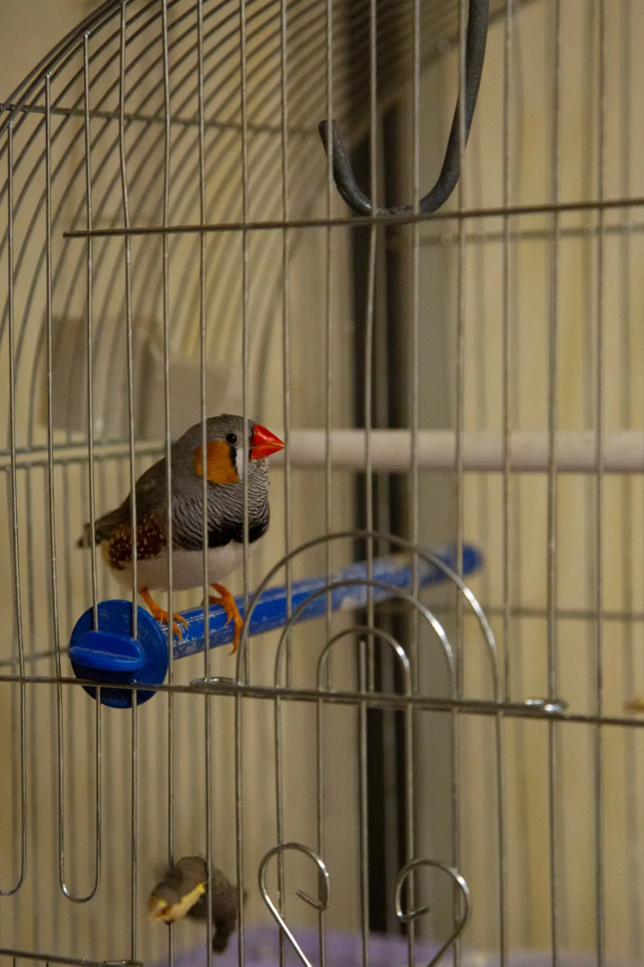 Хостел 1 ПОЛЯНЫ