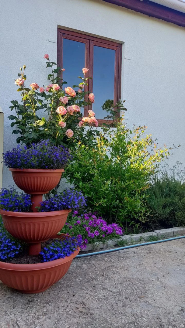 Гостевой дом Крымская дача в Орловке