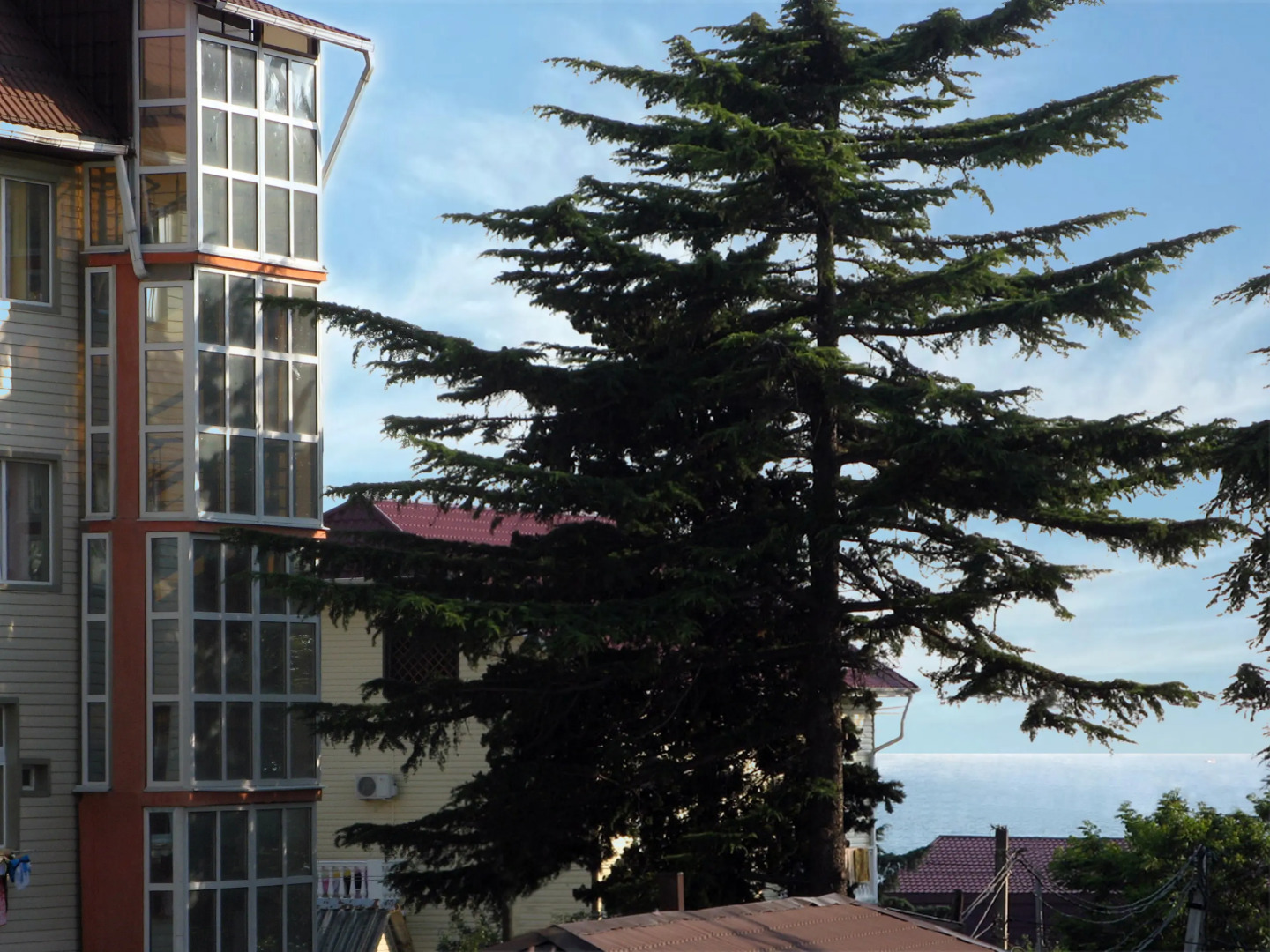 Меблированные комнаты Свирский