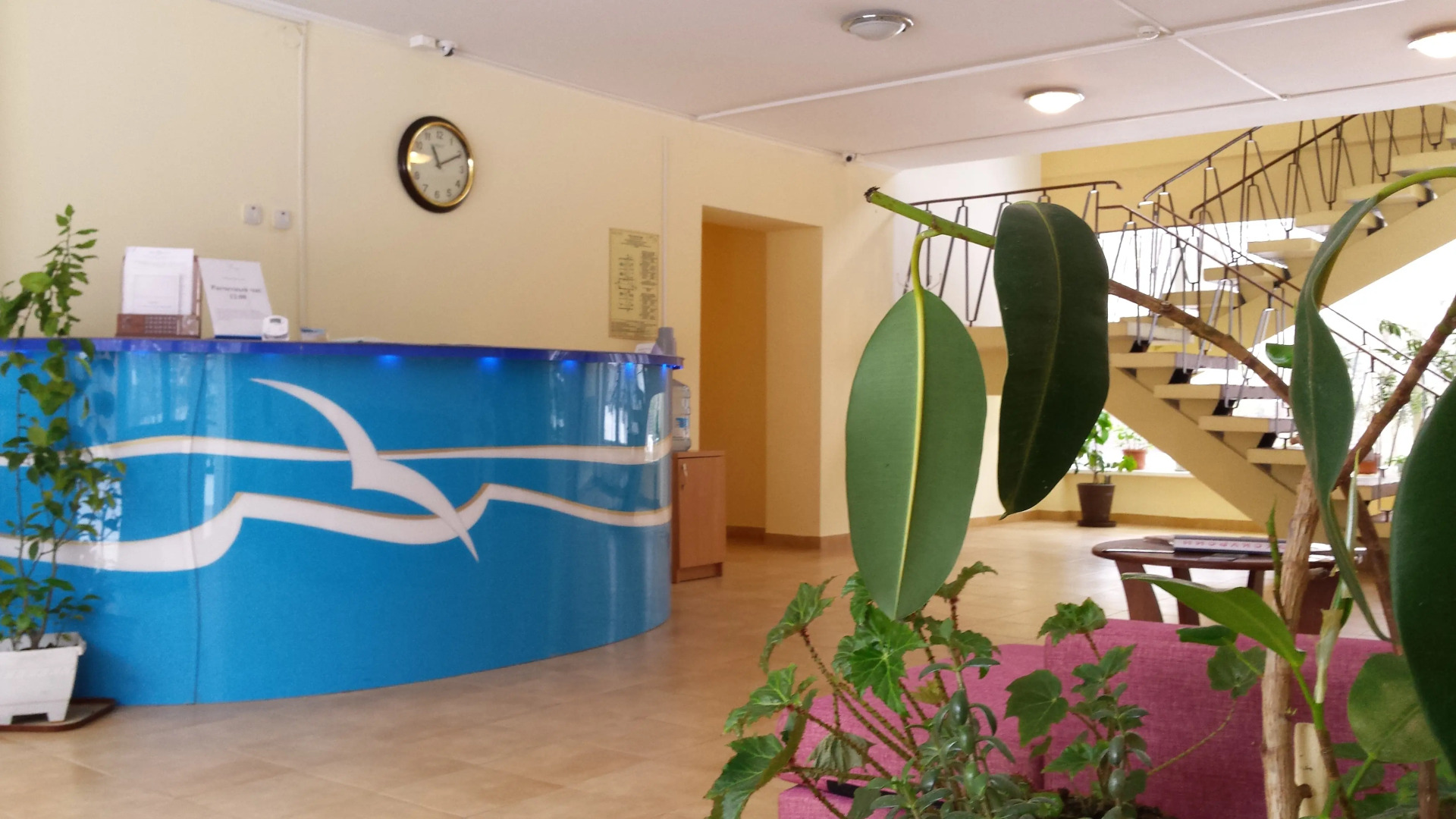 Гостиница Чайка