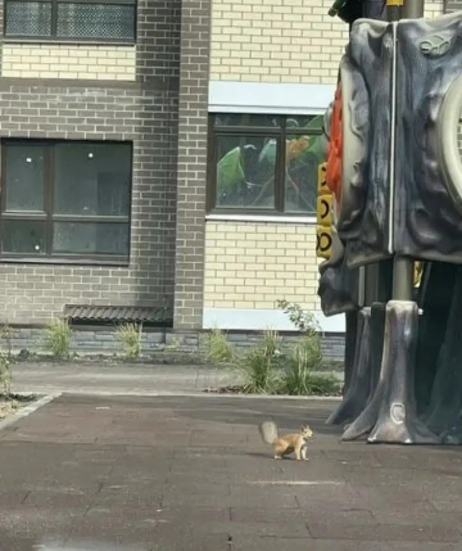 Квартира Уютно жить 4