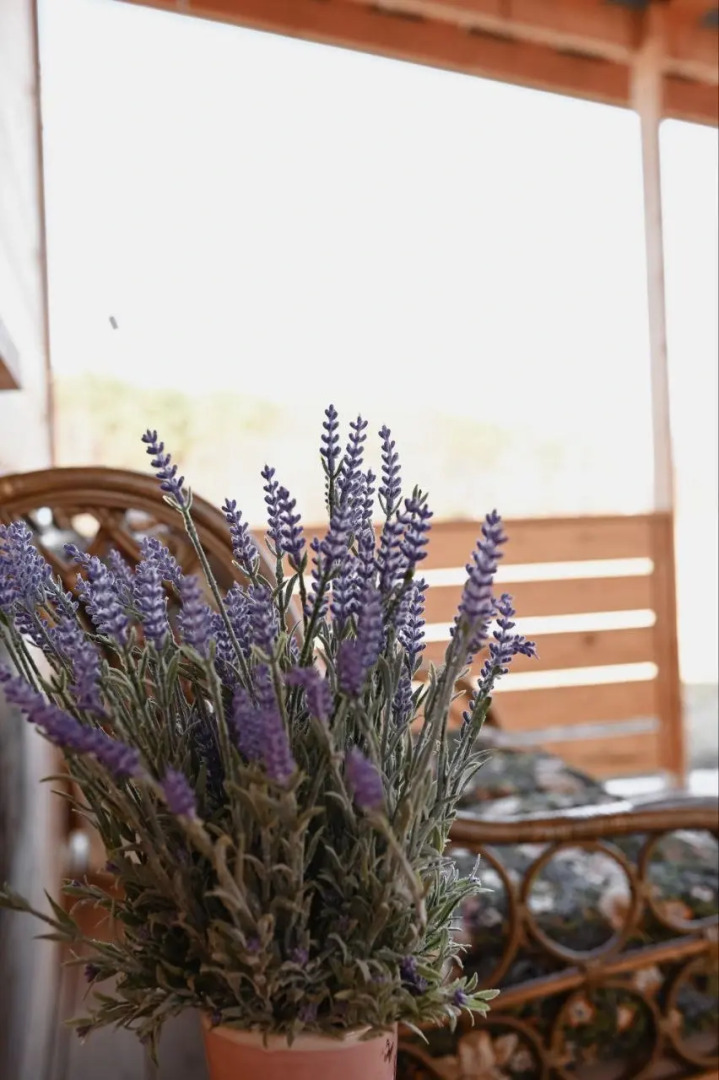 Шале Лаванда