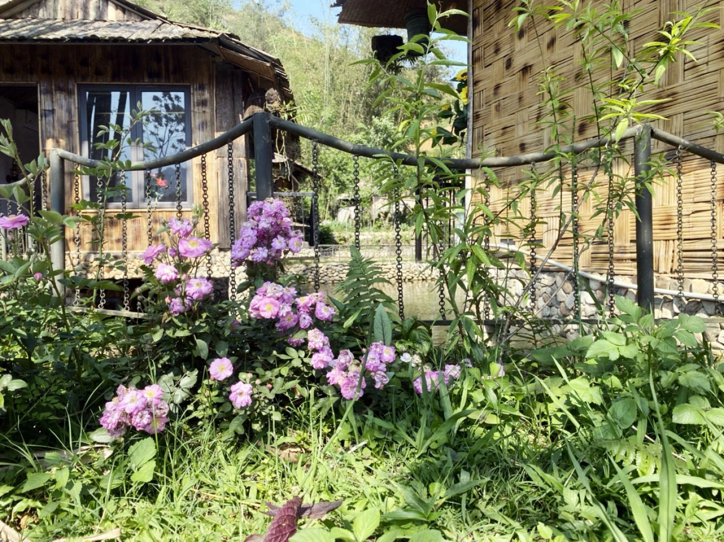 Бунгало Bamboo Eco Sapa