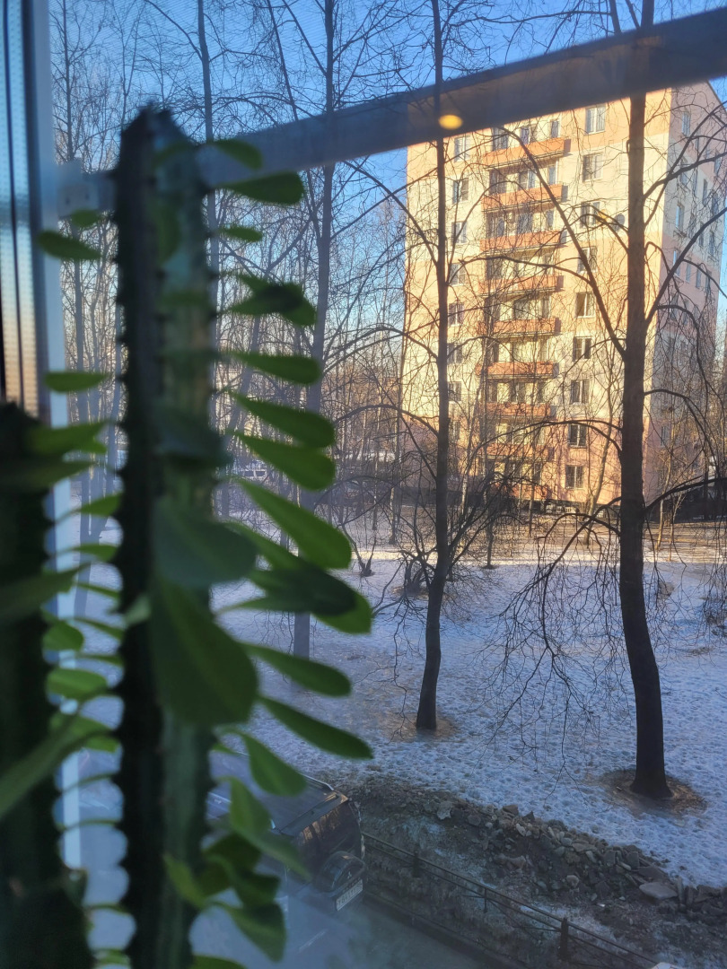 Апартаменты Soft & Nice Apart