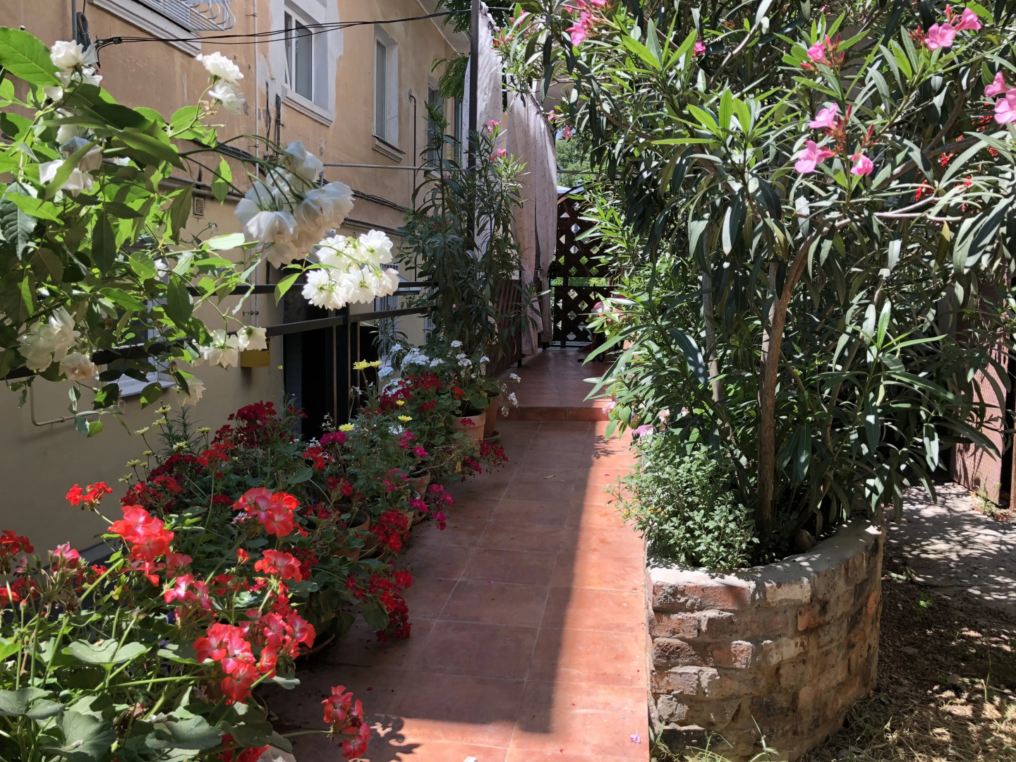 Коттедж в Ялте Соханя 8