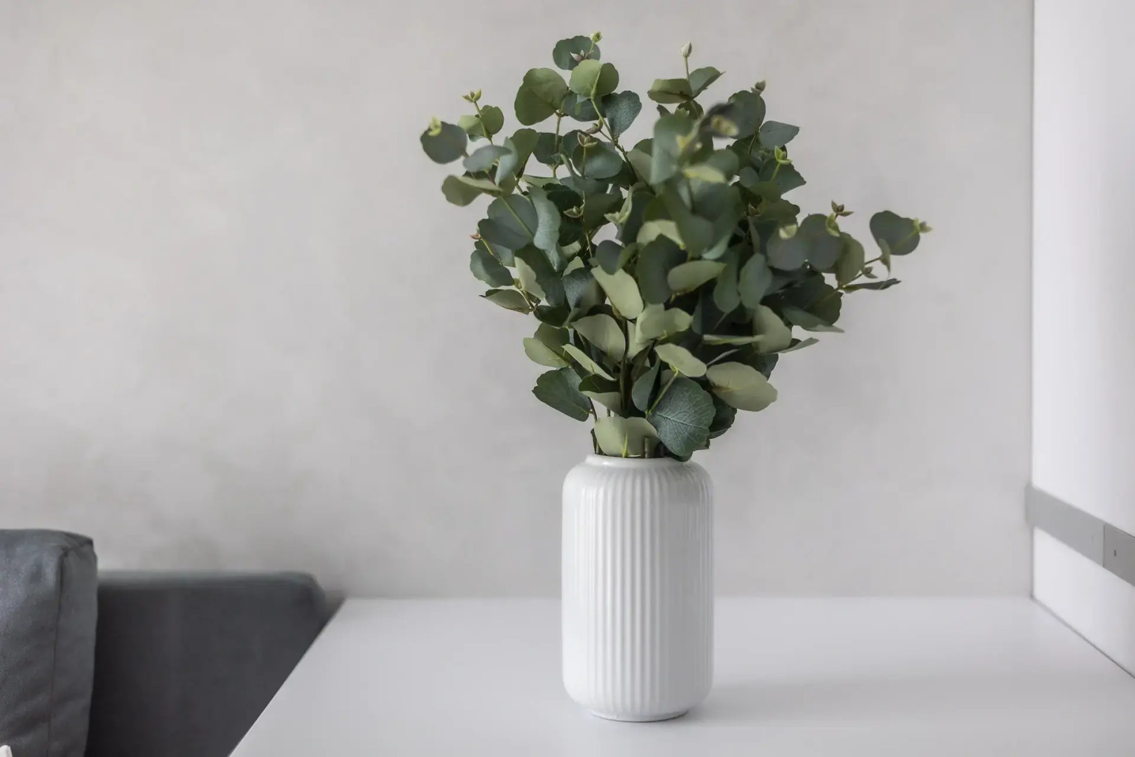 Апартаменты Grey House Минск Мир