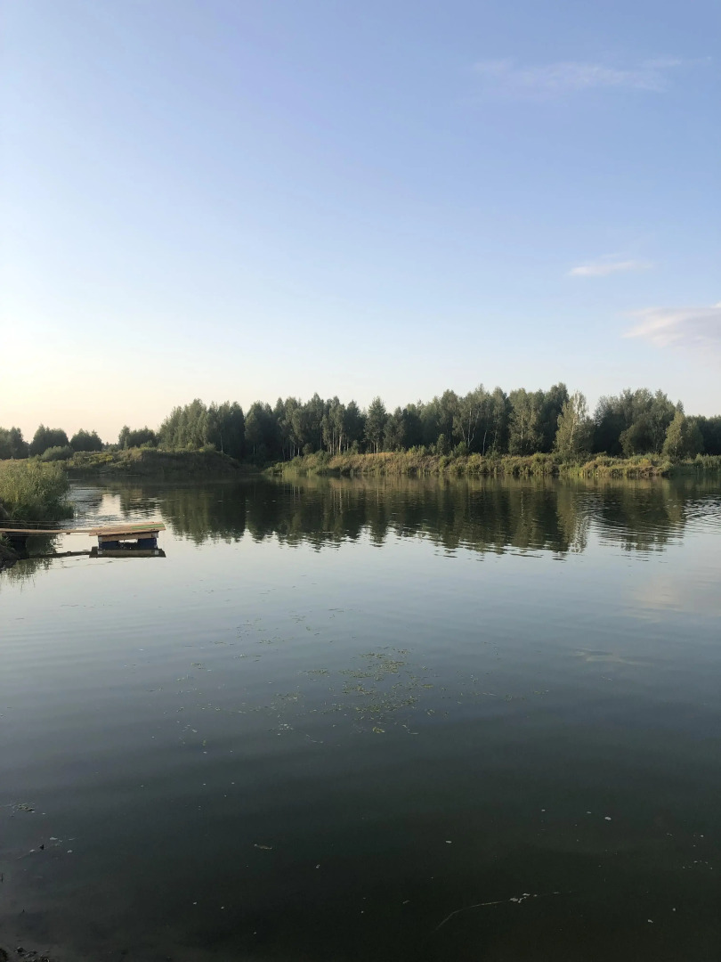 Гостевой дом Дом у леса