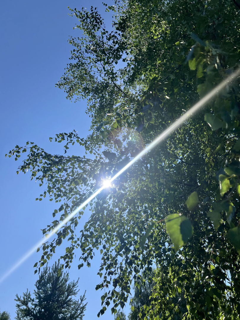 Частный дом Отдых на природе