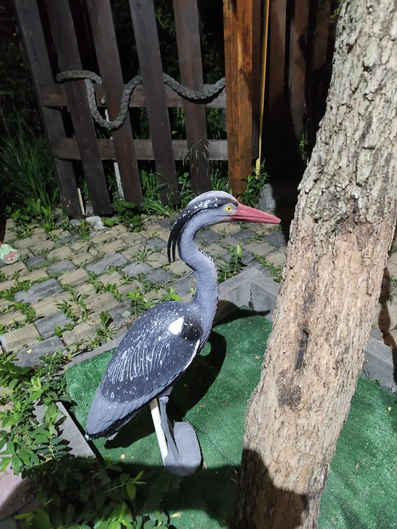 Гостевой дом  Южанка