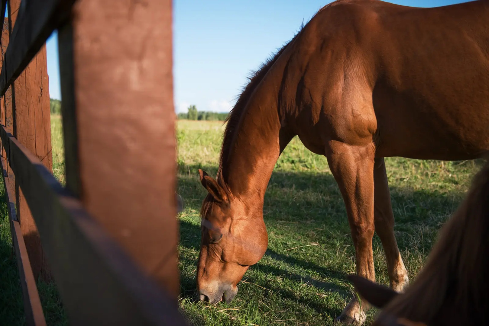 Отель Relai Sassa al Sole