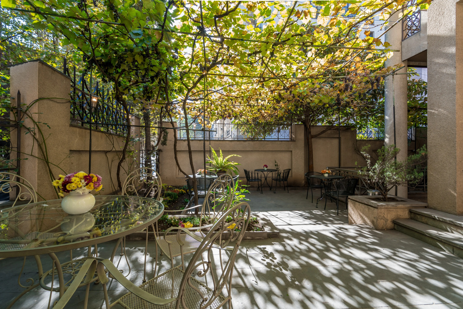 Отель Илиани