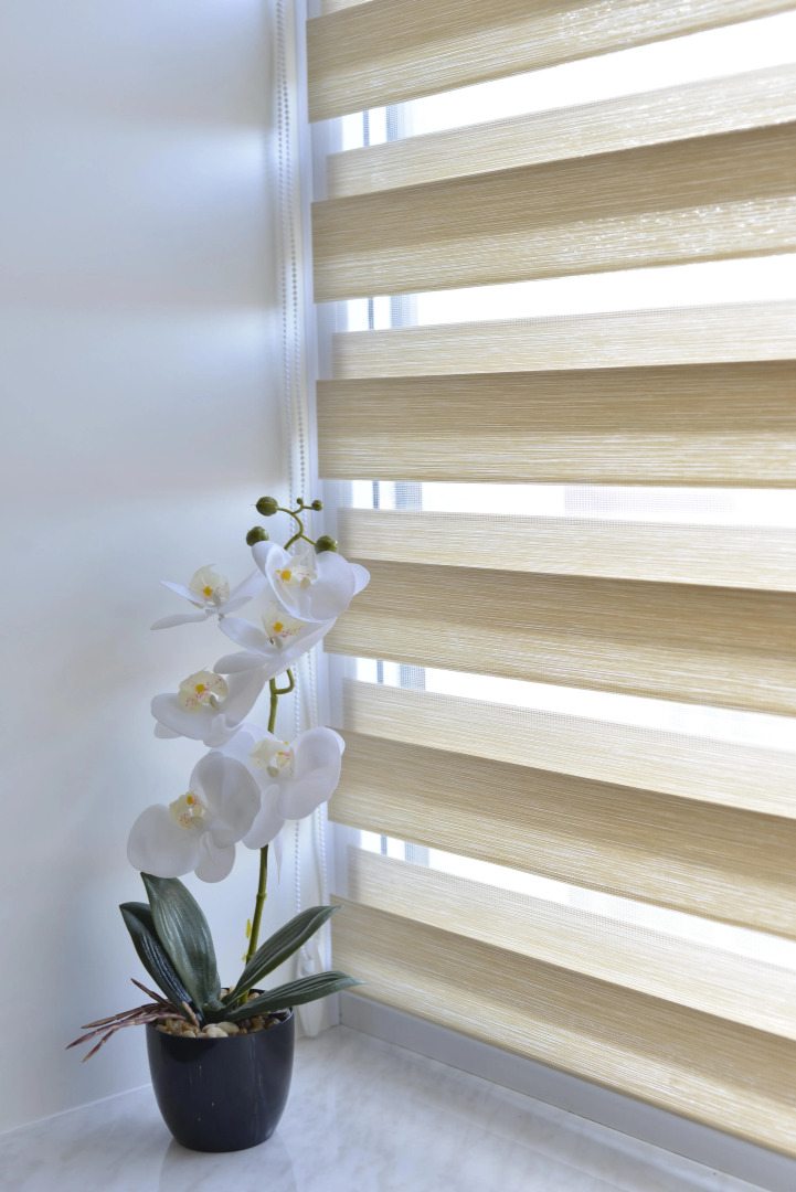 Апартаменты Park House Alieva Comfort