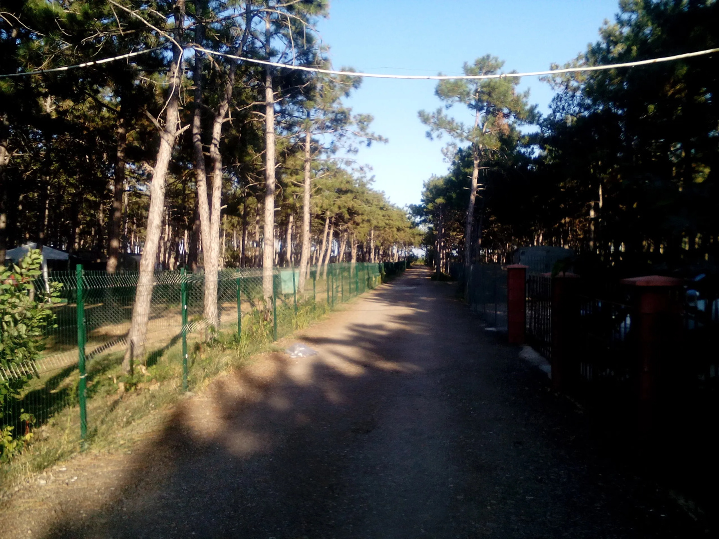 Алексия