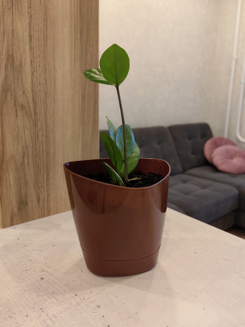 Апартаменты в Архангельске