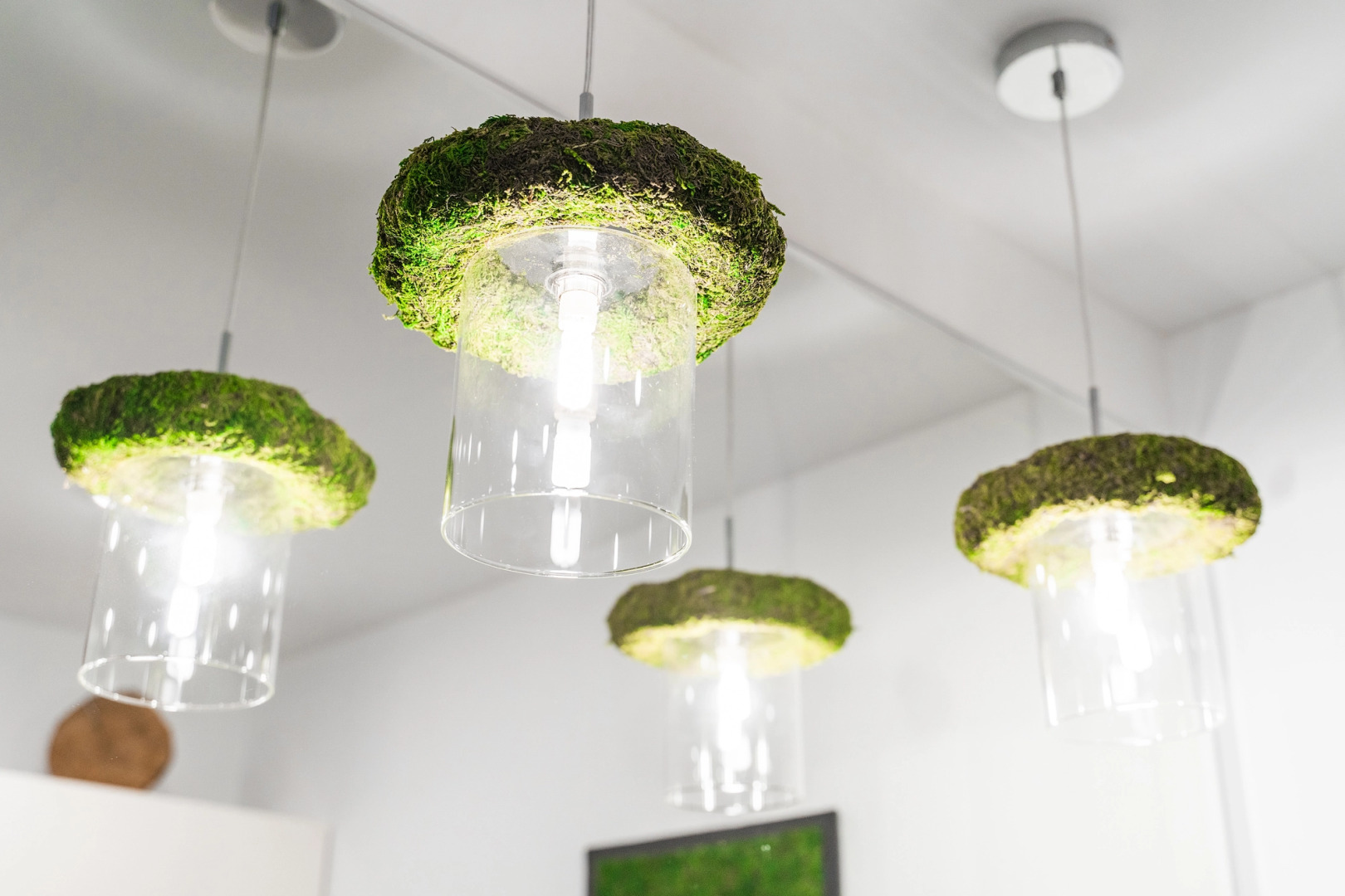 Секвойя by Uloo