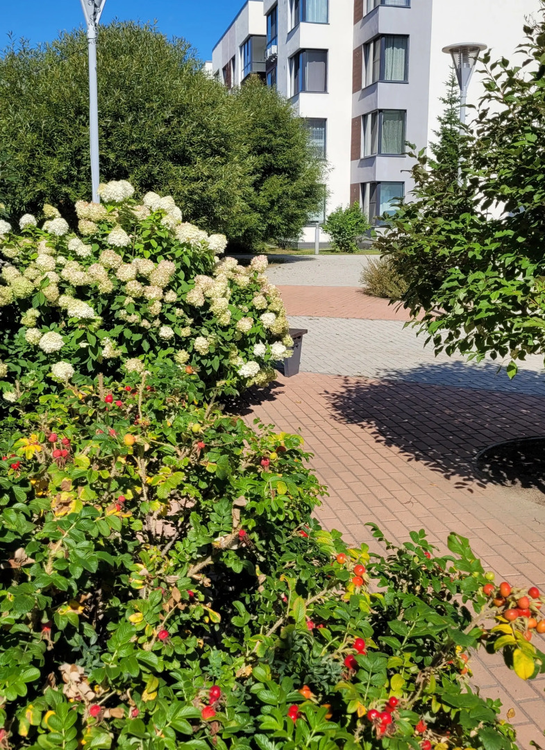 Квартира 1+ комфорт-класса в малоэтажном ЖК Ожогино