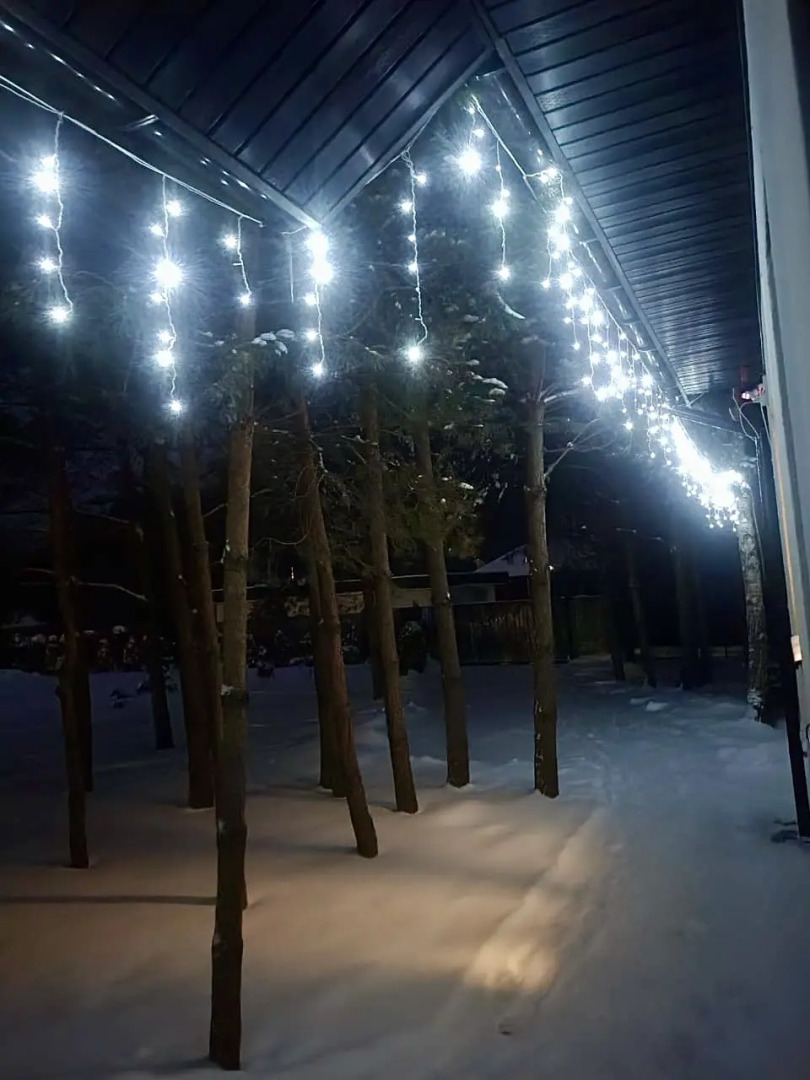 Частный дом Премиальный семейный дом в сосновом лесу