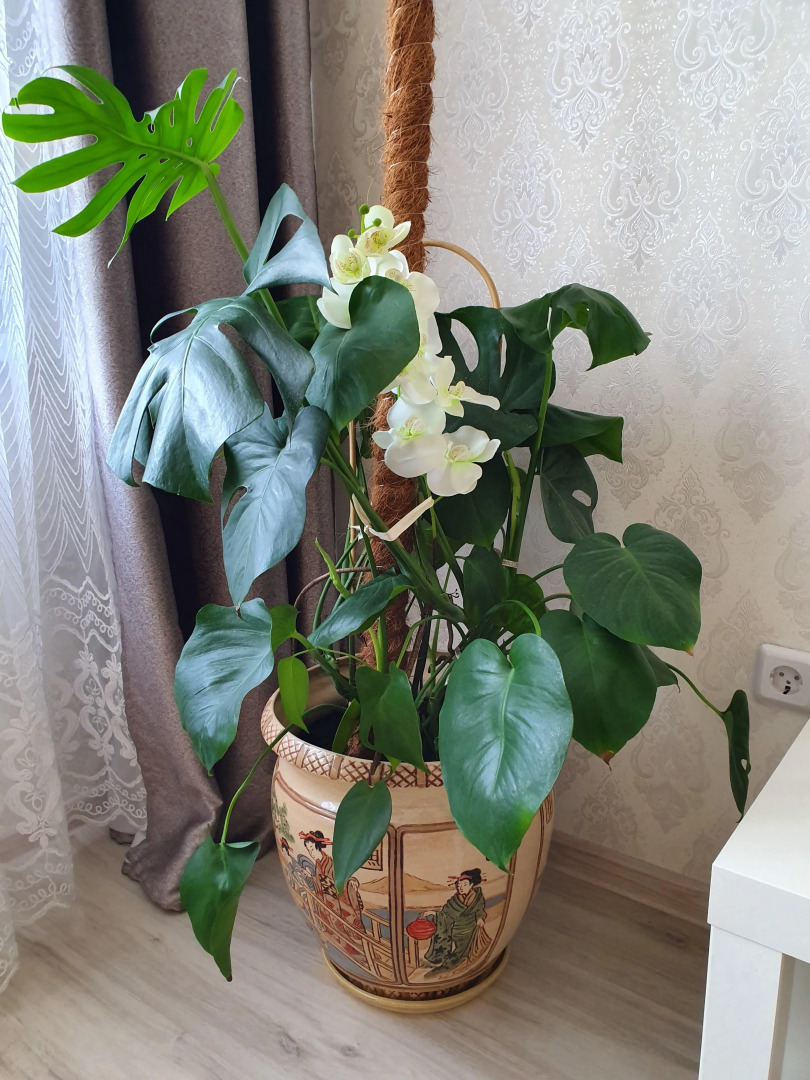 Квартира с Волшебным Видом на Город