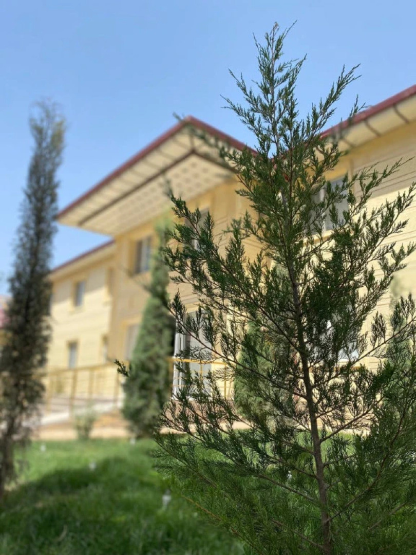 Отель Tarmita Plaza