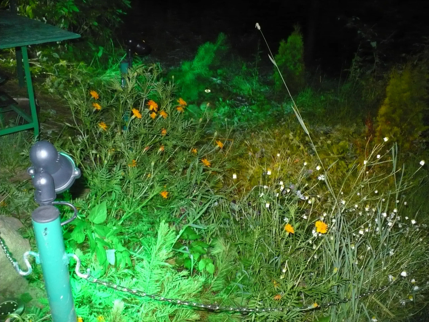 Гостевой дом Для семьи