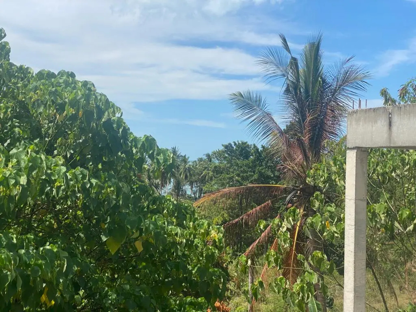 Апатаменты New Seahorse