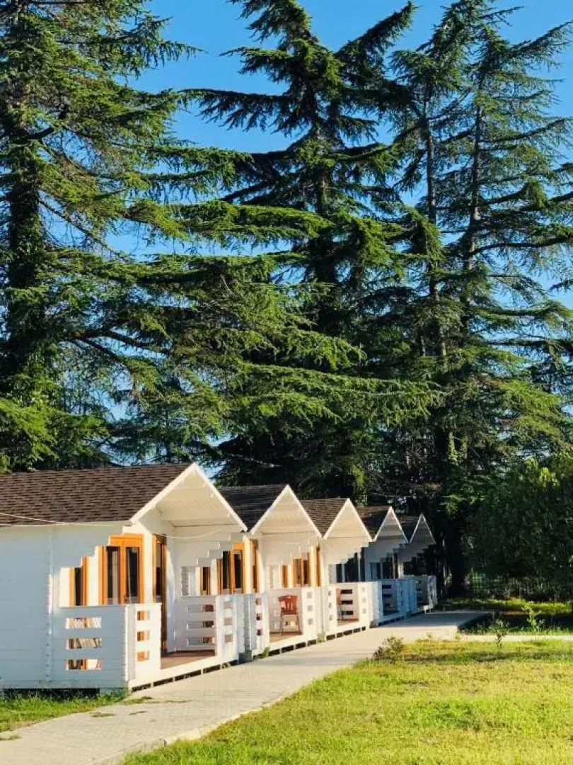 Отель Цитрус 1