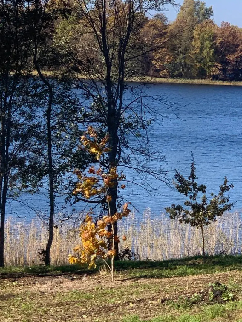 Изба Пасечника Пятиместная Хутор Медовый