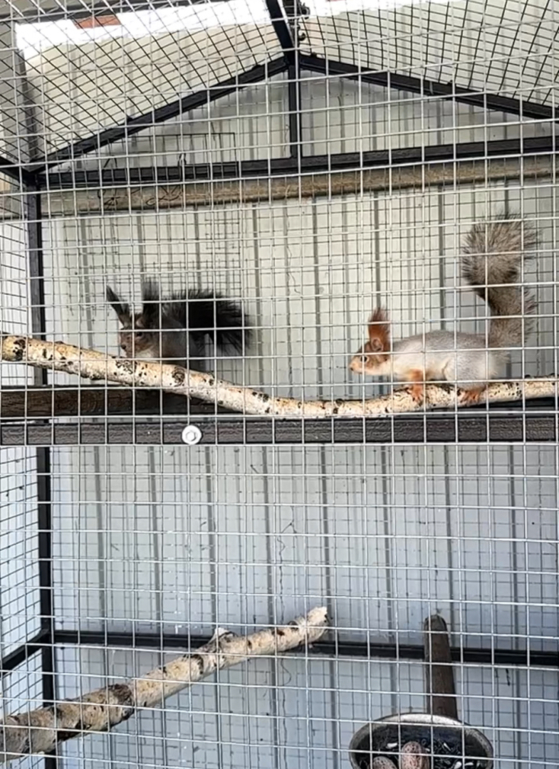 База отдыха Первомайская Усадьба