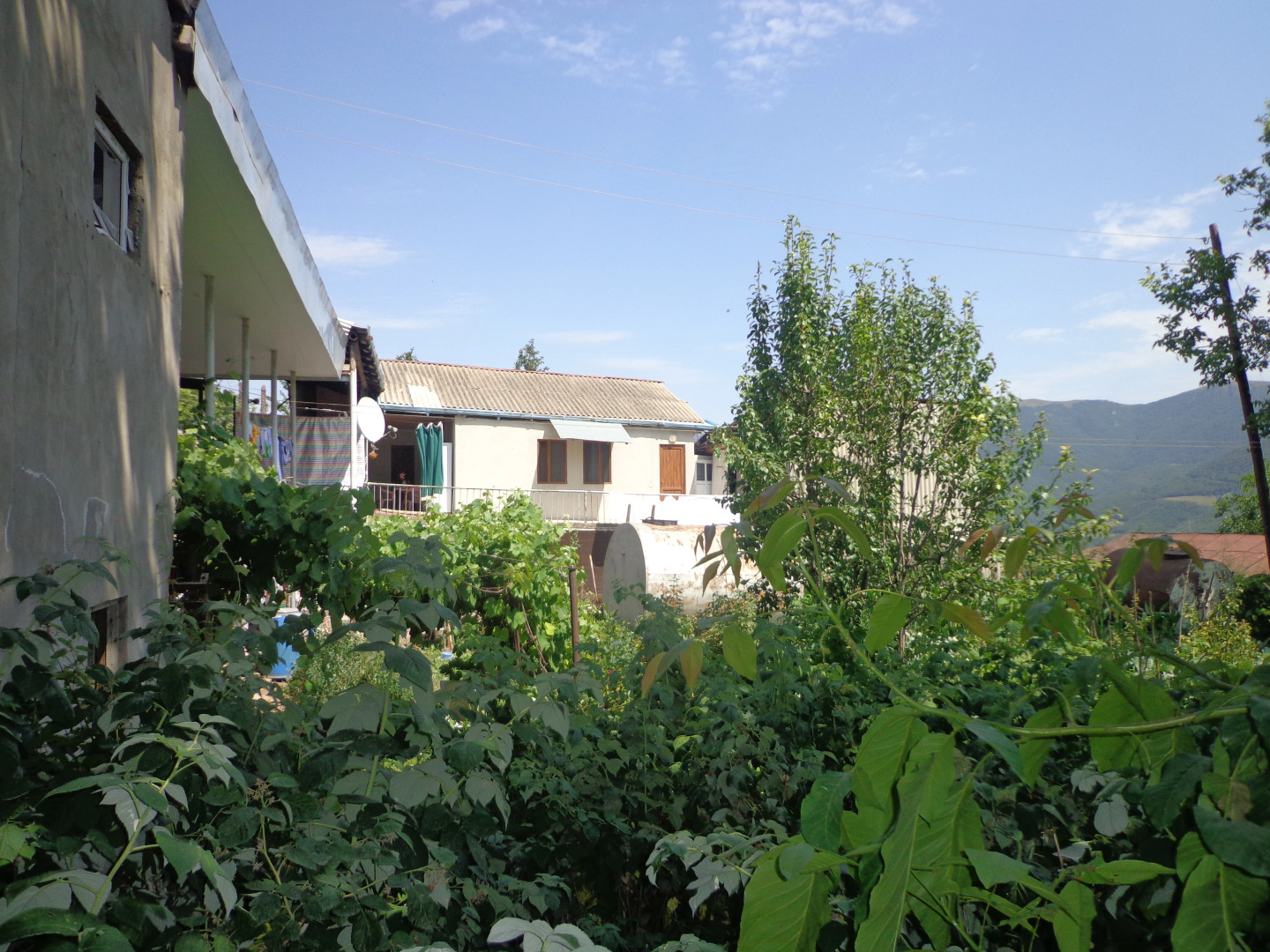 Гостевой Дом Anush`s B&B