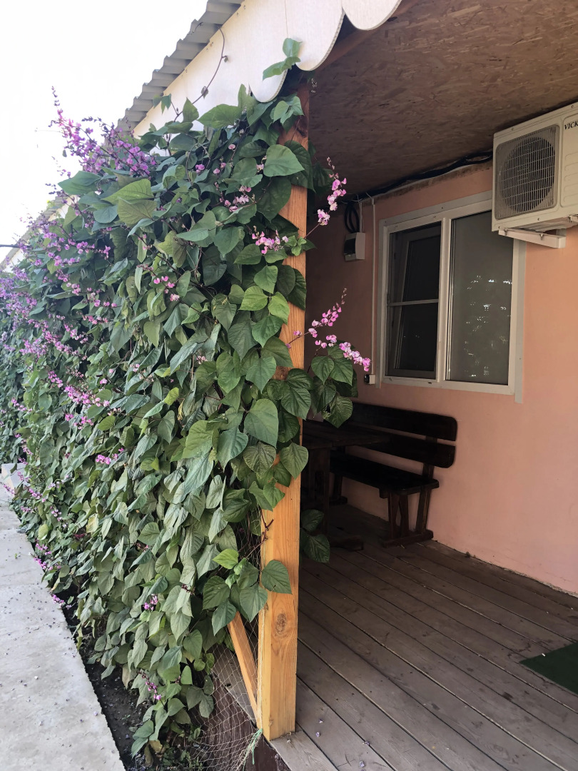 Гостевой дом на берегу Волги